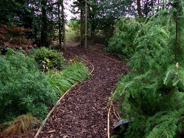 decorative bark chippings