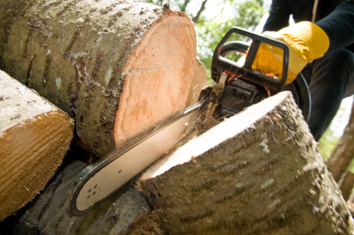 Tree Specialist